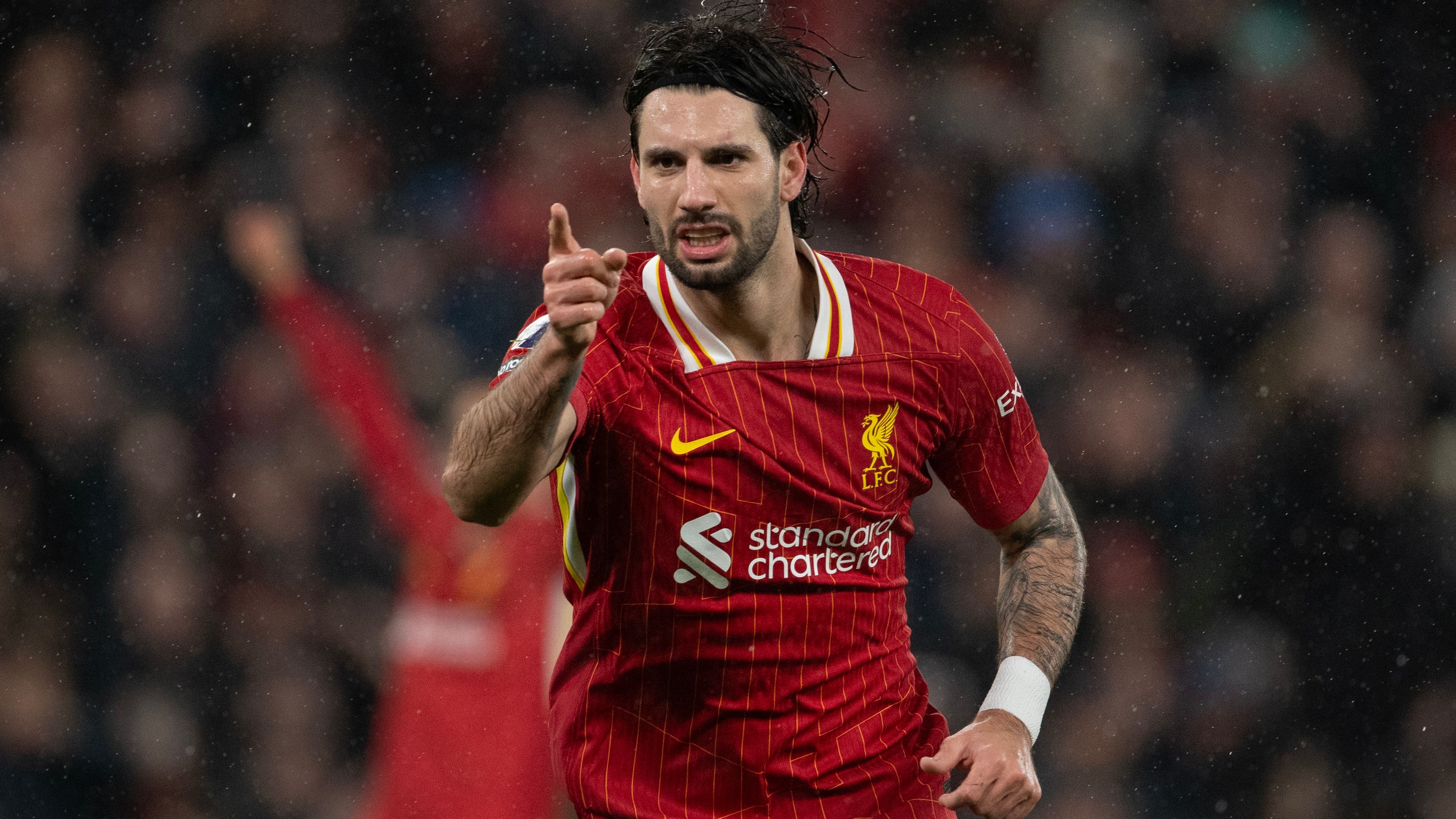 images-v3-blta6b096012f73d770-crop-MM5DGNBVGE5DCOJUGE5G433XMU5DAORRHAYA====-GettyImages-2202156986%20(2)