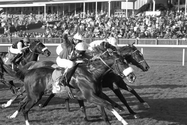 v2-image-production-e397149016904249cb39db43ebe337b7Y29udGVudHNlYXJjaCwxNTk1MzQyMTE1-2.23369556