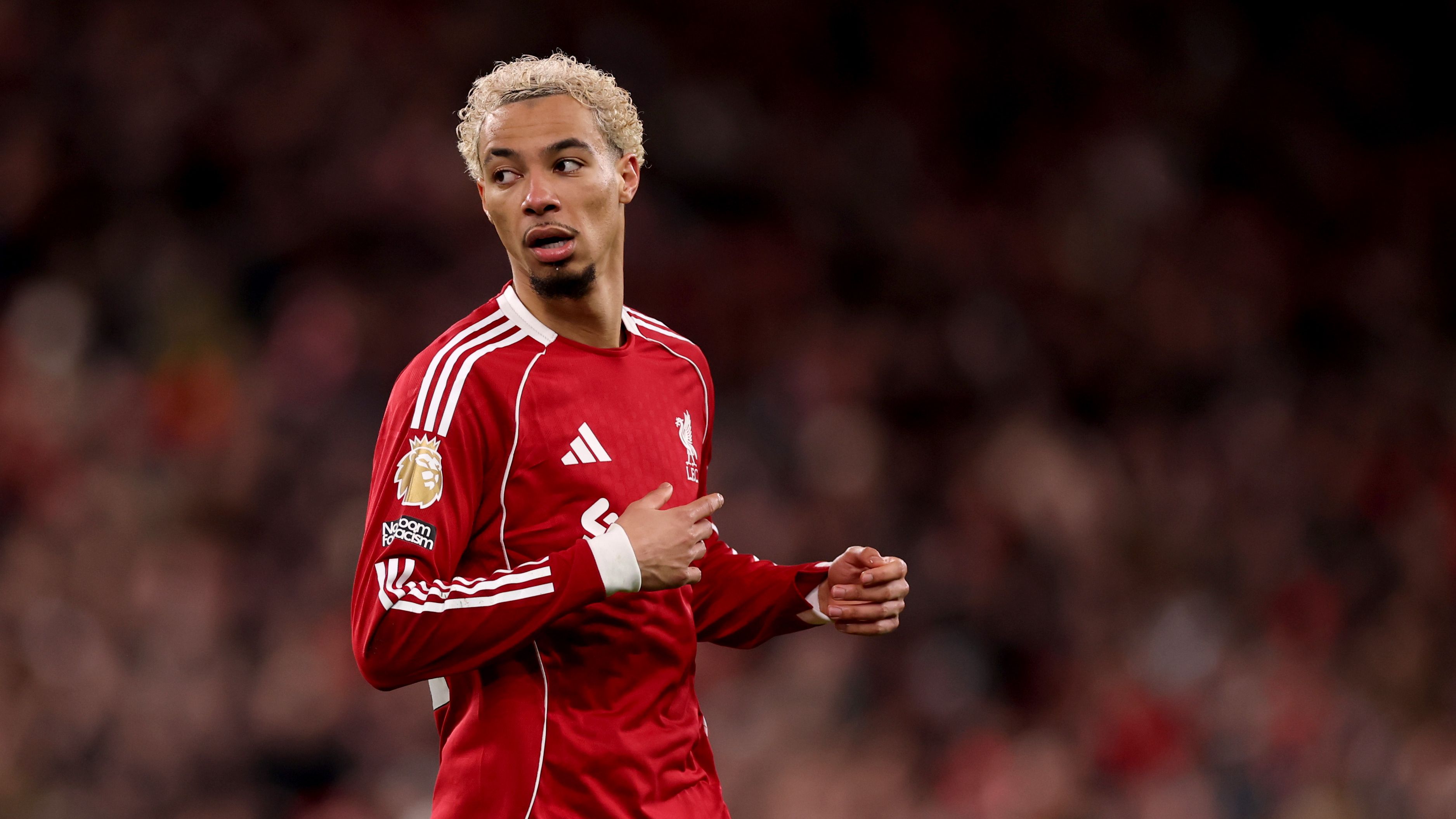 images-v3-getty-2260654018-crop-MM5DGNZVGI5DEMJRGE5G433XMU5DAORYGY======-GettyImages-2260654018