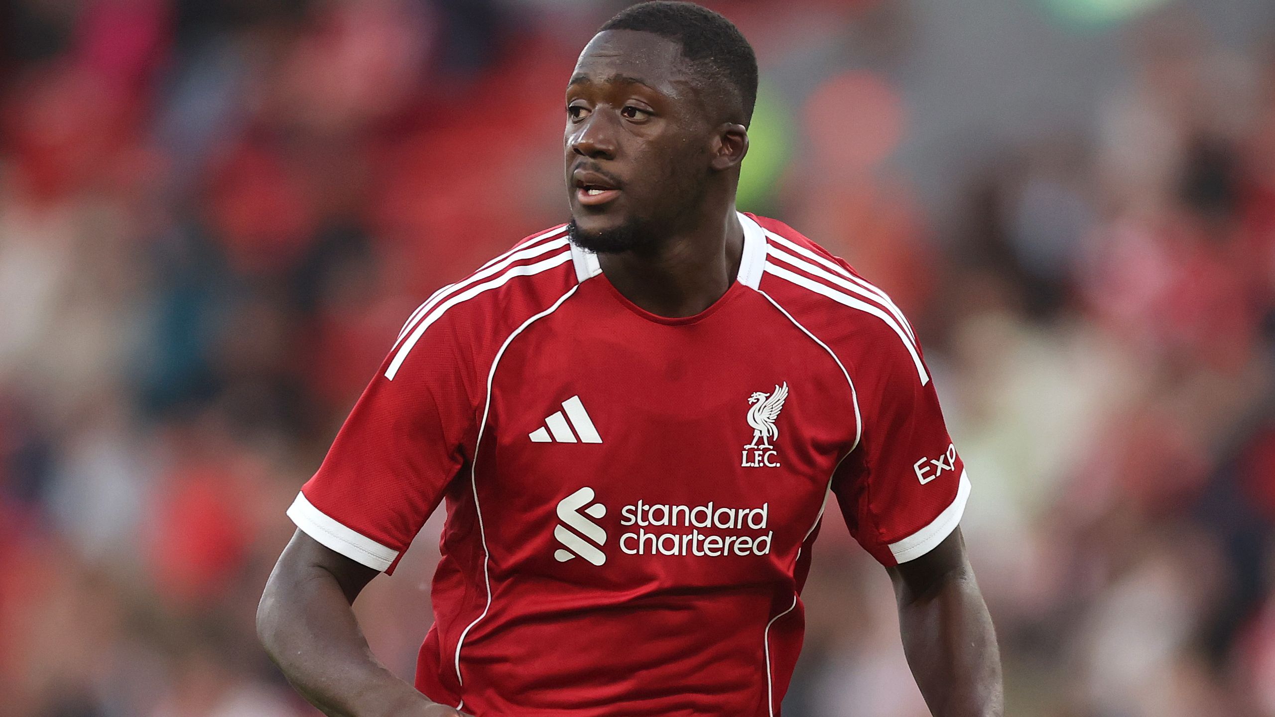 images-v3-blt2041bb453d206258-crop-MM5DENJWGA5DCNBUGA5G433XMU5DENJYHIYTGNQ=-GettyImages-2228630651