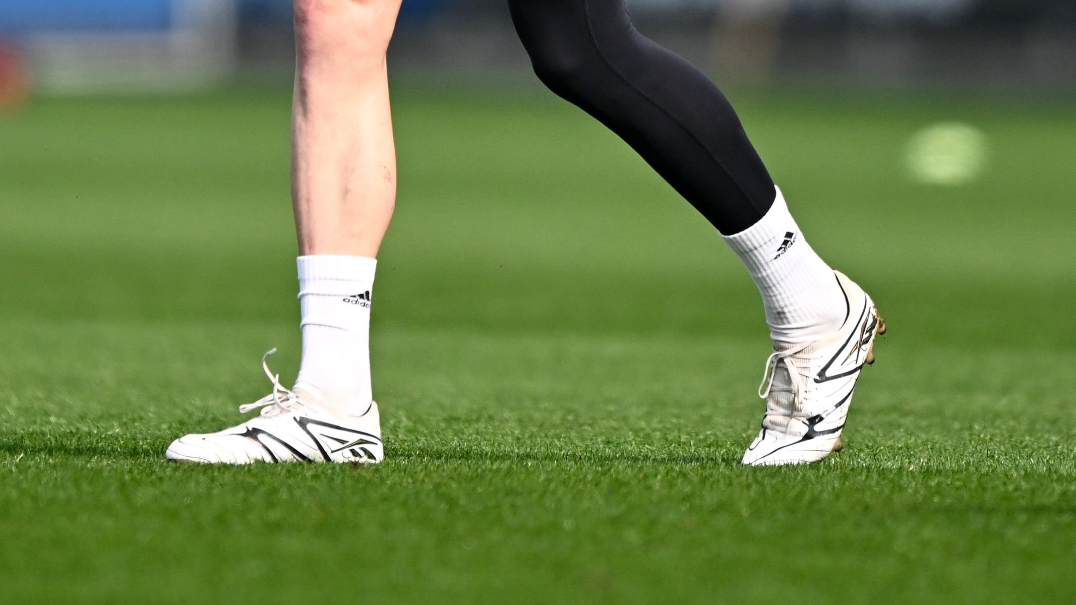 images-v3-blt8b04a8c5b978a65f-crop-MM5DEMJTGQ5DCMRQGA5G433XMU5DIOJTHIZDONRQ-GettyImages-2264176886