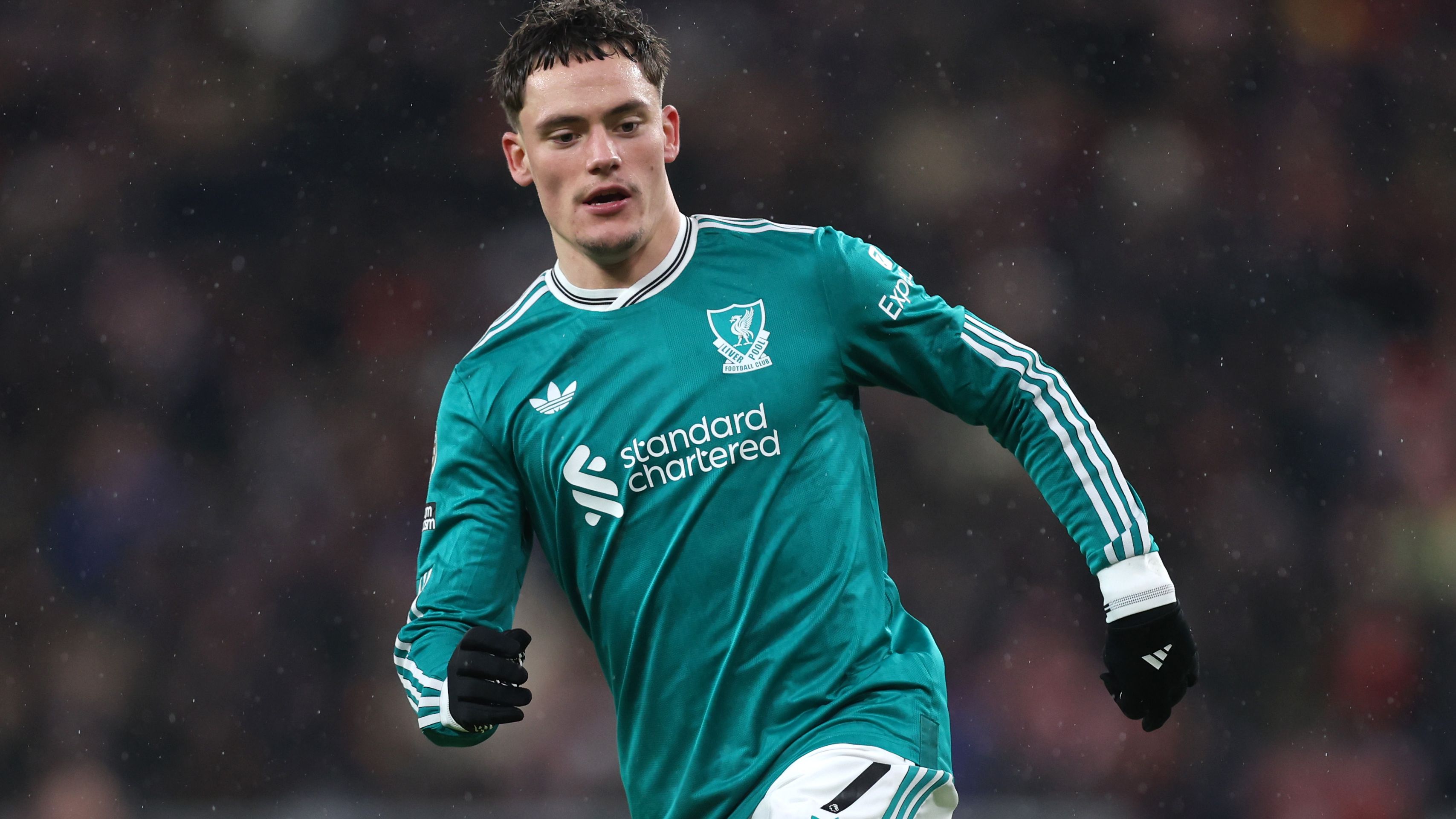 images-v3-getty-2261214192-crop-MM5DGNBRGU5DCOJSGE5G433XMU5DAORRG44A====-GettyImages-2261214192