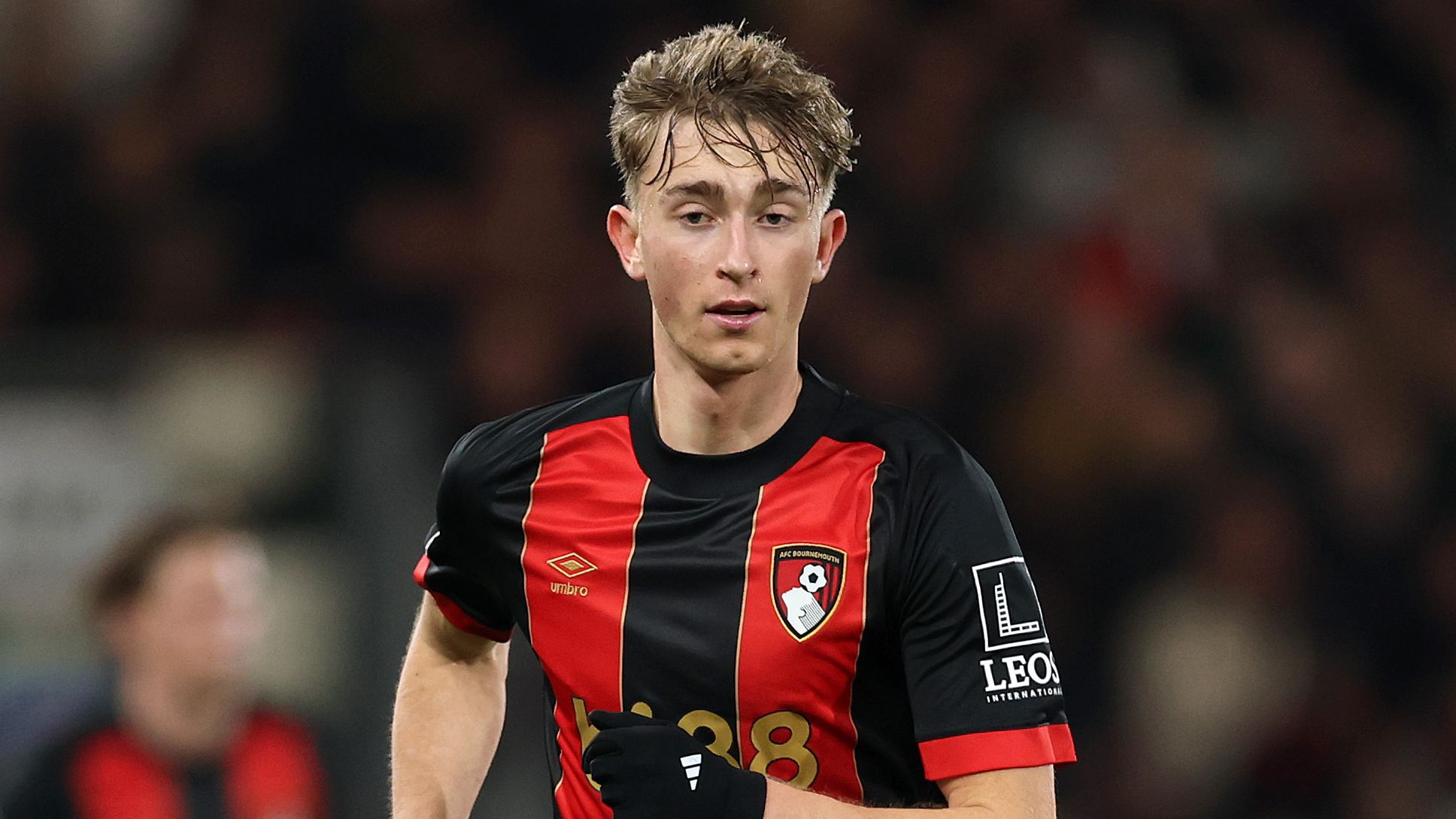 images-v3-getty-2208259196-crop-MM5DCOJTGY5DCMBYHE5G433XMU5DENZTHIZTGNI=-GettyImages-2208259196