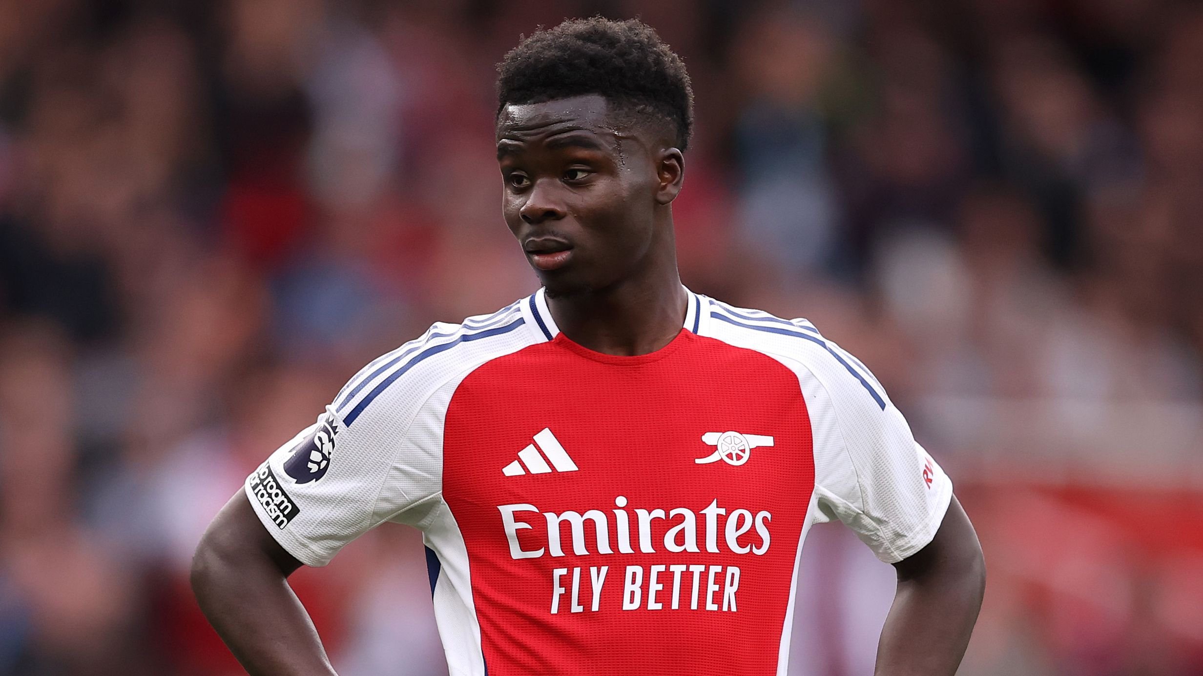 images-v3-getty-2214859554-crop-MM5DENBWGQ5DCMZYGY5G433XMU5DENRZHI3DM===-GettyImages-2214859554