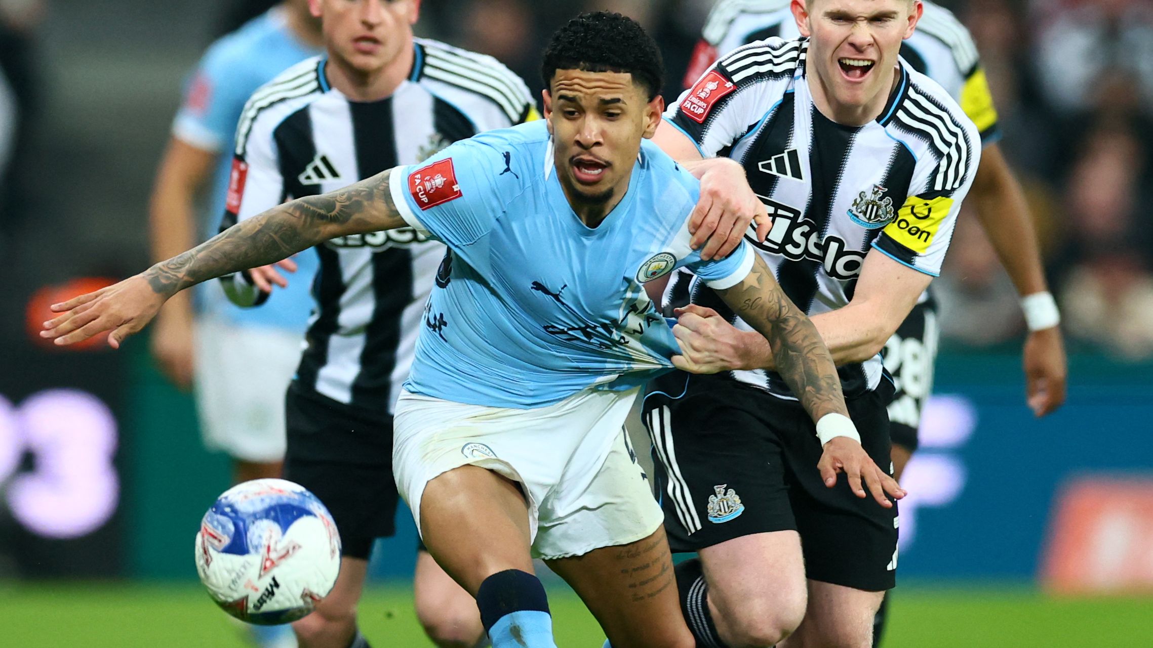 images-v3-getty-2264736629-crop-MM5DEMRXG45DCMRYGE5G433XMU5DONZYHI2DKNY=-GettyImages-2264736629