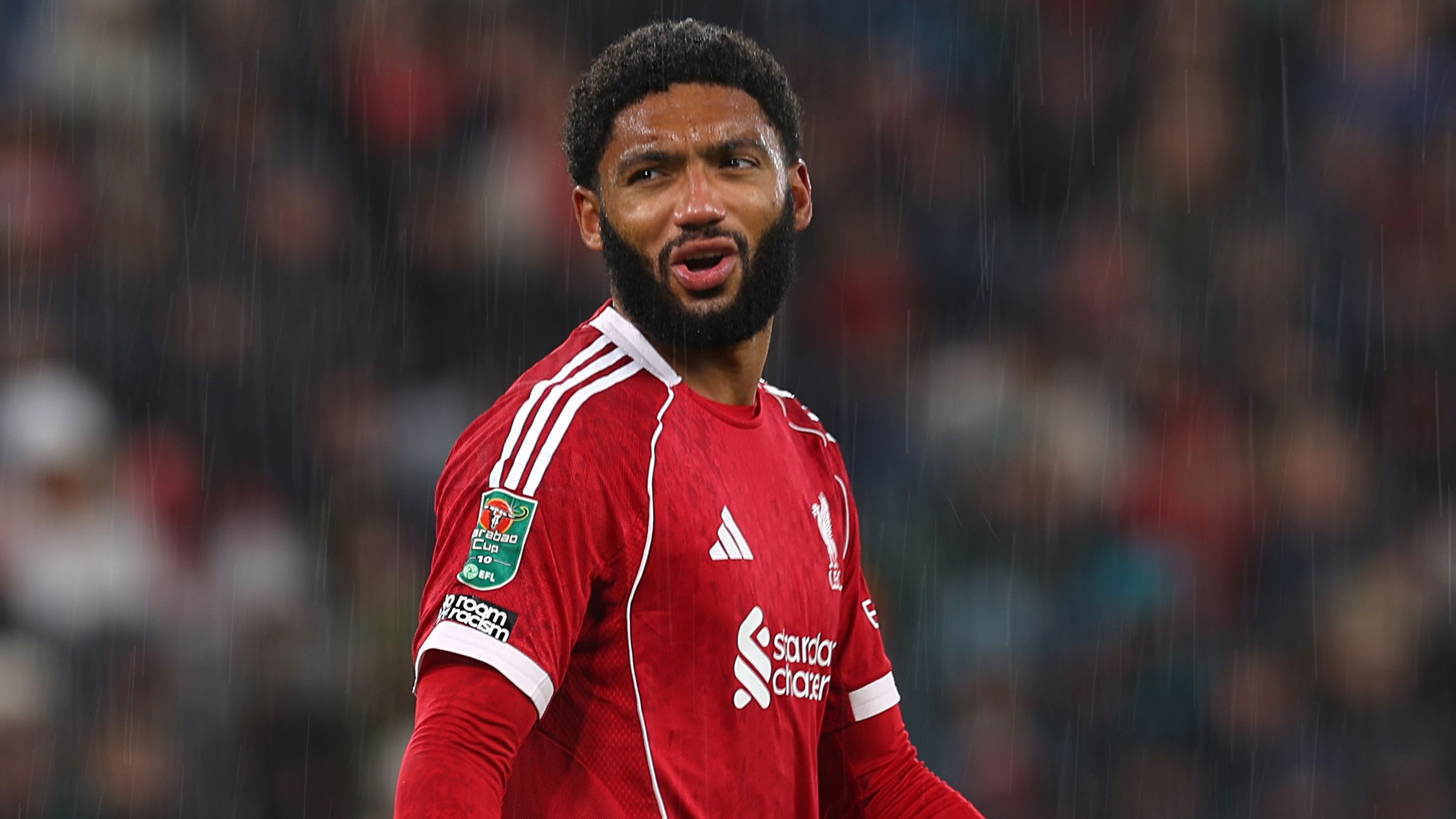 images-v3-getty-2244146490-crop-MM5DEMZQGA5DCMRZGQ5G433XMU5DQNRQHIZTGNI=-GettyImages-2244146490