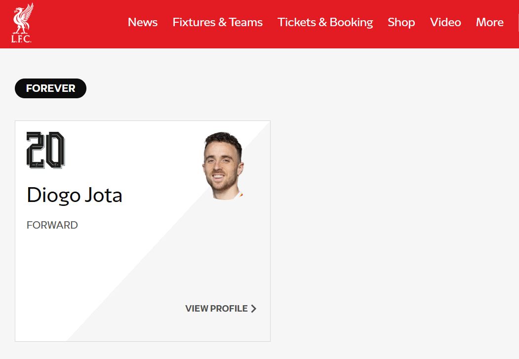 images-v3-blt161f923657db7a93-jota%20squad