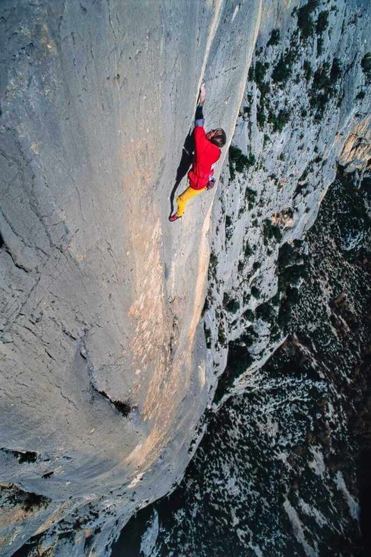 www-WebPhotos-800-20260125-682x1024_wmkn_0_C20260125000159