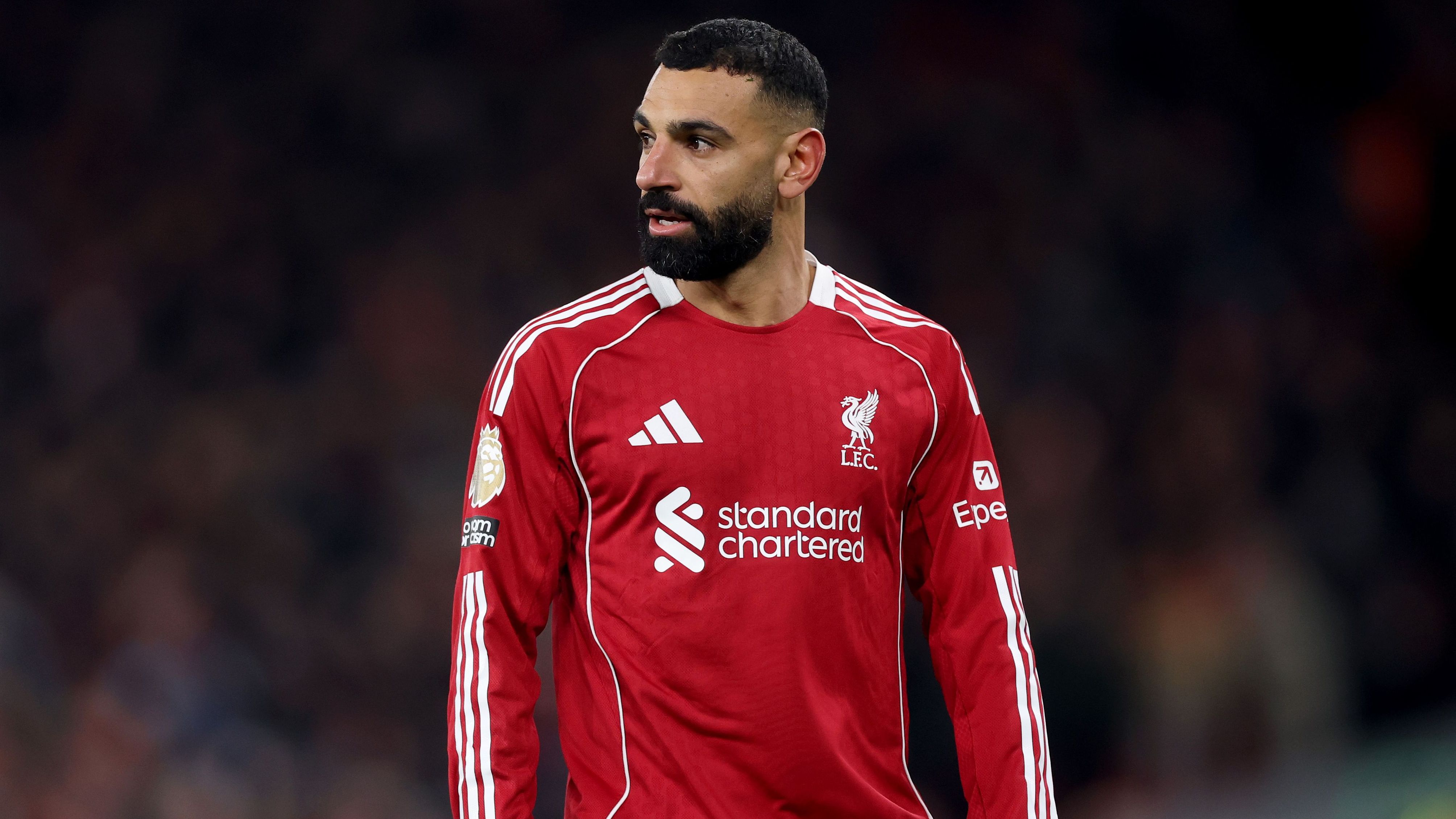 images-v3-getty-2249901667-crop-MM5DIMBRGY5DEMRVHE5G433XMU5DIOBYHIYTGOI=-GettyImages-2249901667