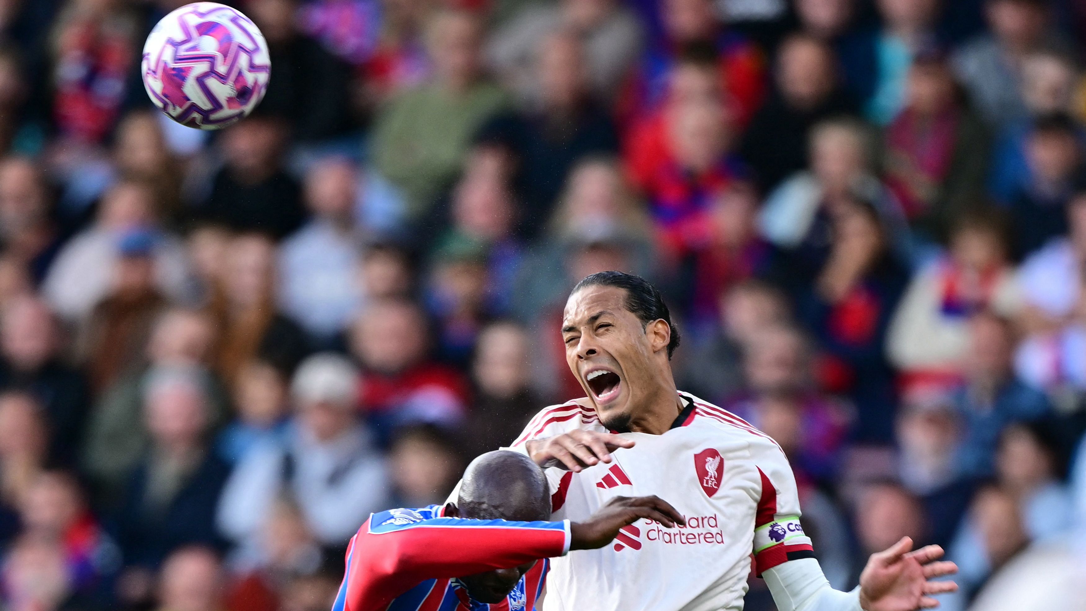 images-v3-getty-2237340115-crop-MM5DGNJQGA5DCOJWHE5G433XMU5DAORRGY======-GettyImages-2237340115