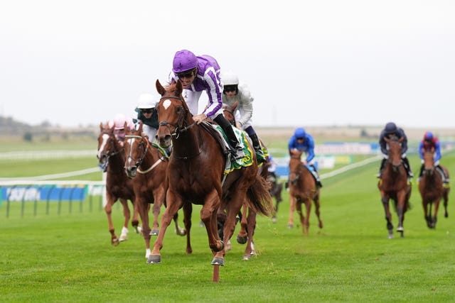 v2-image-production-195bc8d0ce45fafdb57ac062d559ce8dY29udGVudHNlYXJjaGFwaSwxNzYxOTEzMzM3-2.81954370