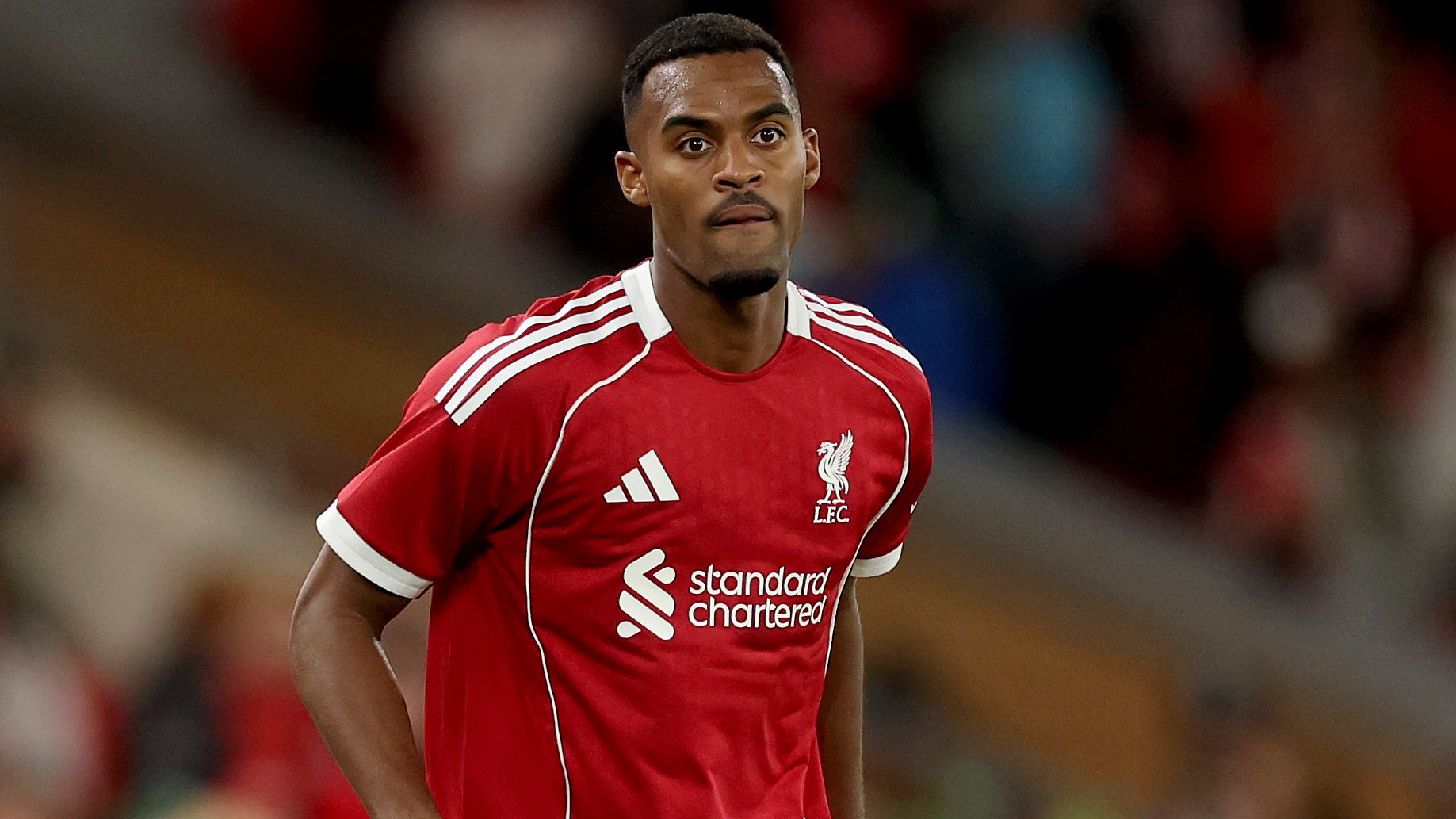 images-v3-getty-2228629800-crop-MM5DCOBTG45DCMBTGM5G433XMU5DGNZUHIYTOOI=-GettyImages-2228629800