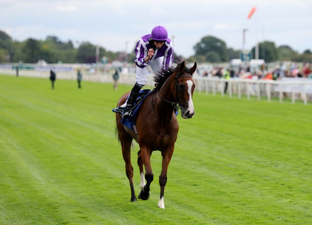 v2-image-production-cf1dad5f8a8aebc7a9b4a79a97cc1fefY29udGVudHNlYXJjaGFwaSwxNzU5MjMzNzgw-2.81310690