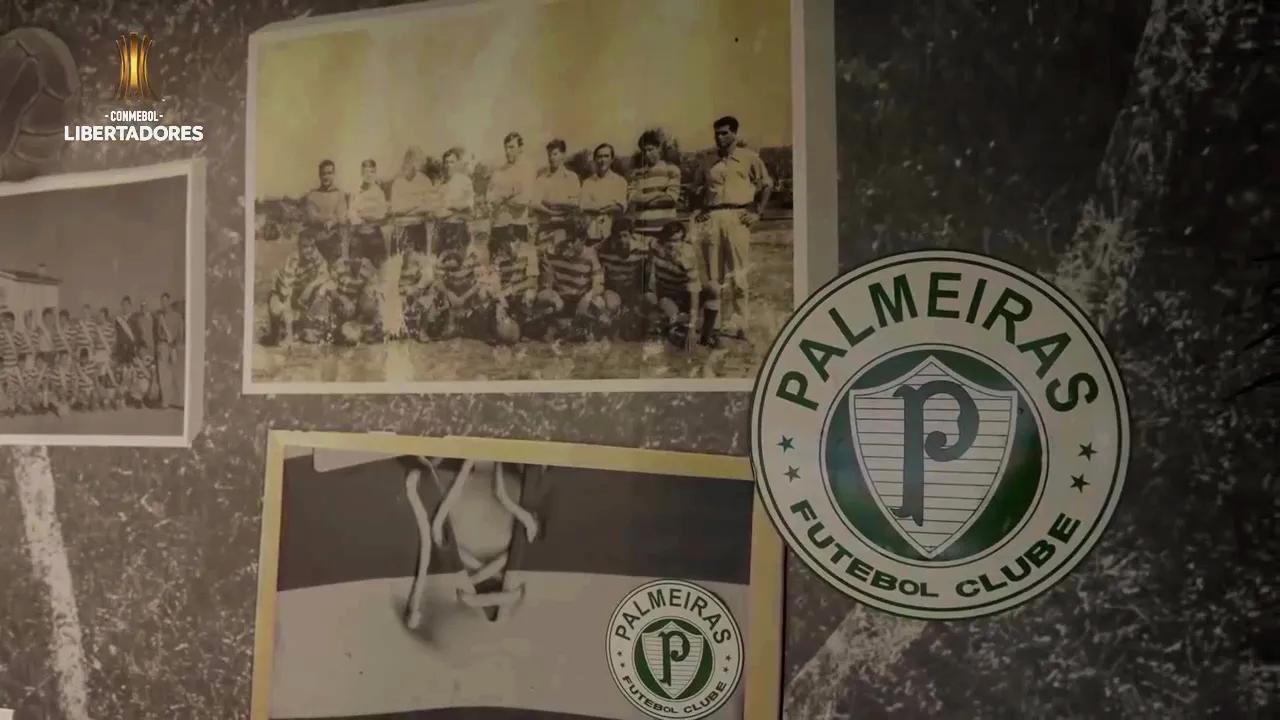 transform-f7f1a148-b2f2-442a-88be-f76f3f23a5ca-Palmeiras-FC-frame-in-Braga-Portugal