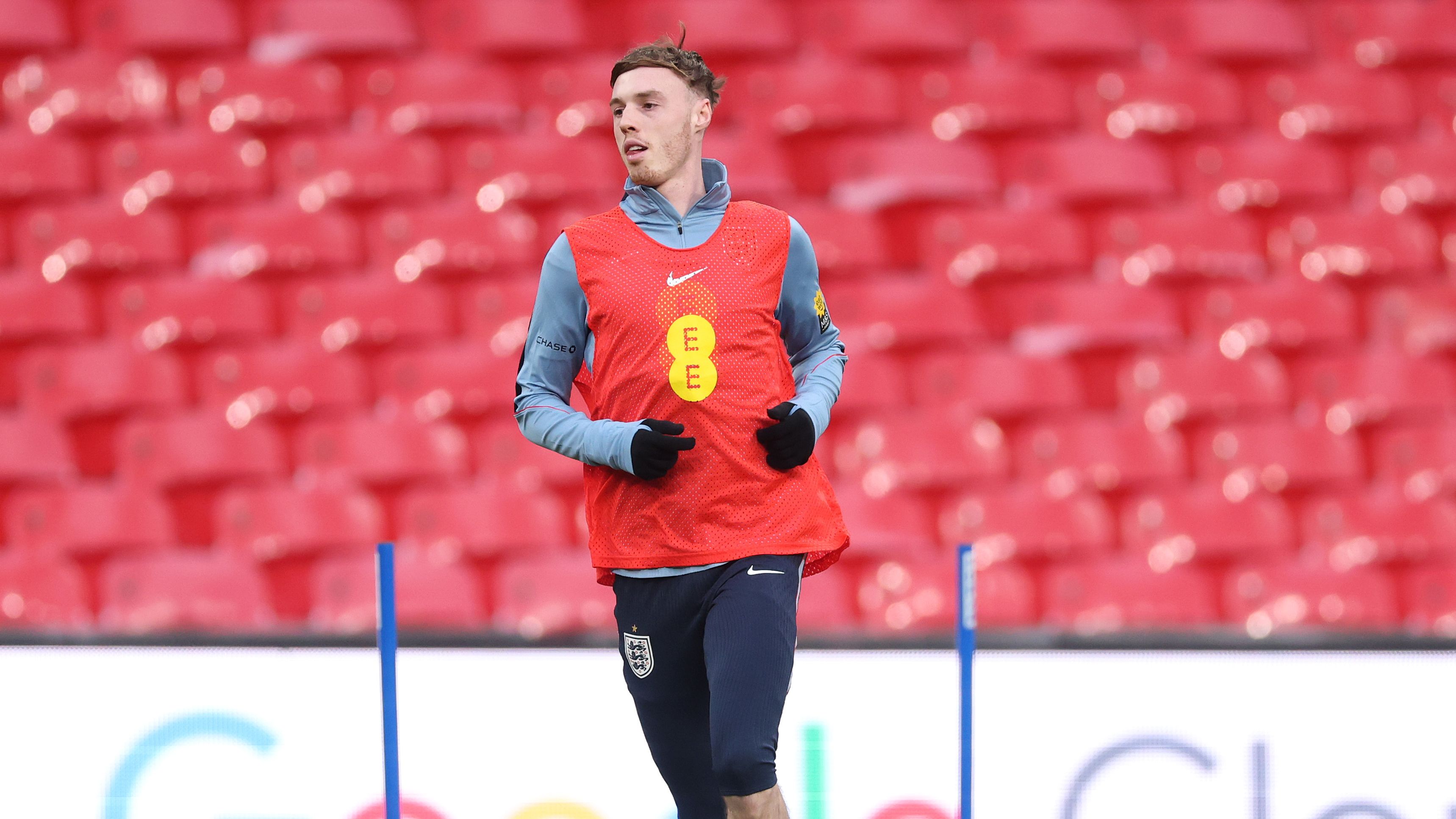 images-v3-getty-2268481445-crop-MM5DGNBTG45DCOJTGM5G433XMU5DKOJSHIYTQOA=-GettyImages-2268481445