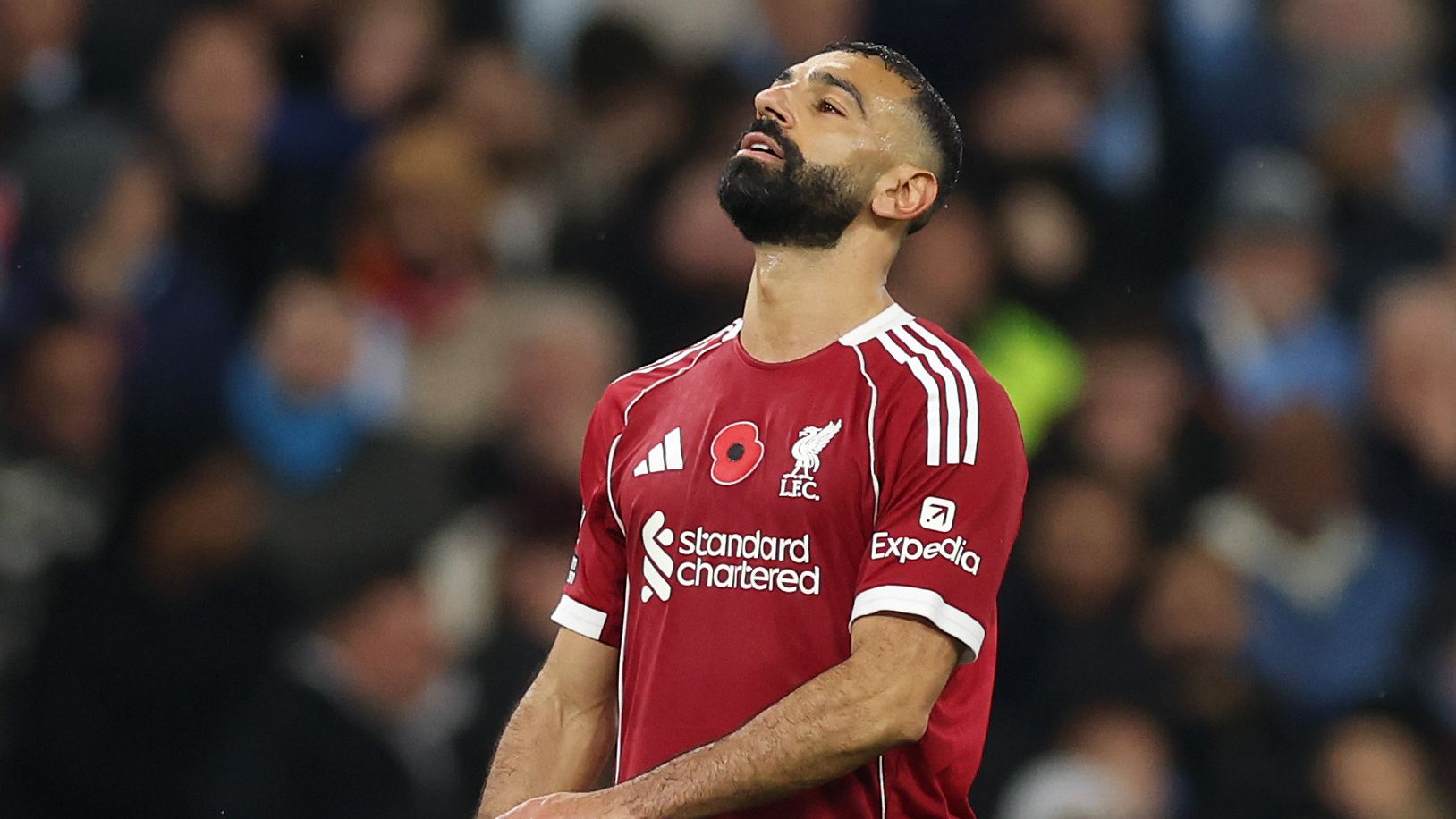 images-v3-getty-2245867109-crop-MM5DCNRSHA5DSMJWHJXG653FHIYDUMJXHA======-GettyImages-2245867109