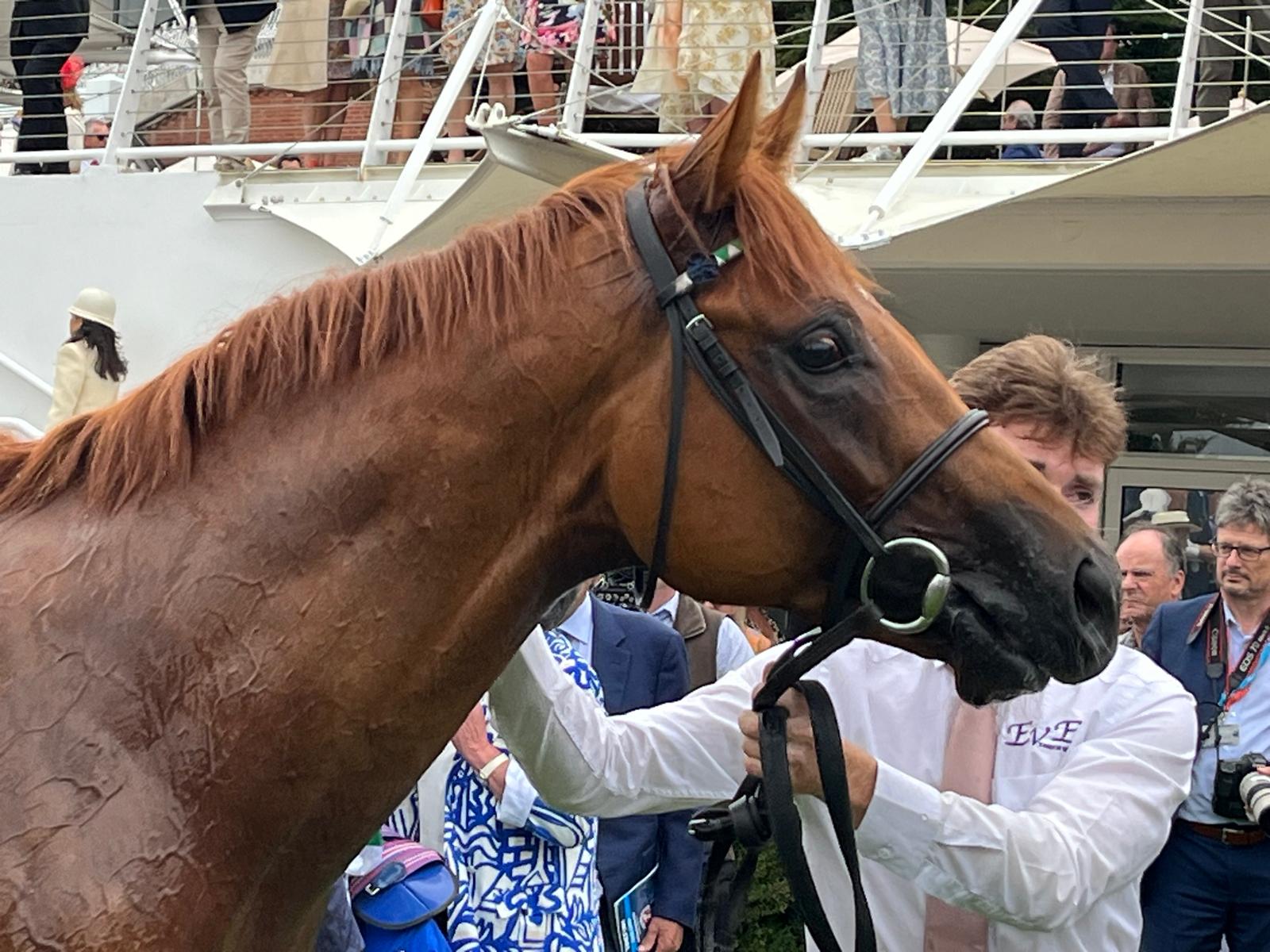 2025-07-29142500-c273a3bb-de7b-4d3d-b835-7946a20af539