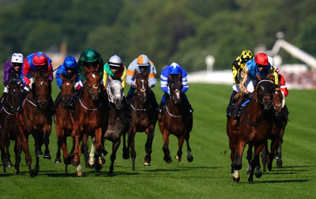 v2-image-production-1ea6c2ee6d5fb5ba79ebec92fb5cd41fY29udGVudHNlYXJjaGFwaSwxNzUxMTAyOTE4-2.80693740