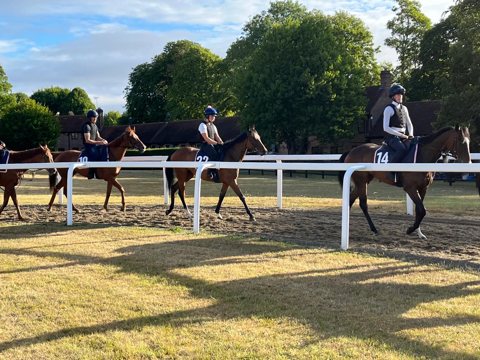 2025-07-22114322-01828b79-5d05-4618-a0b7-d5910d981810