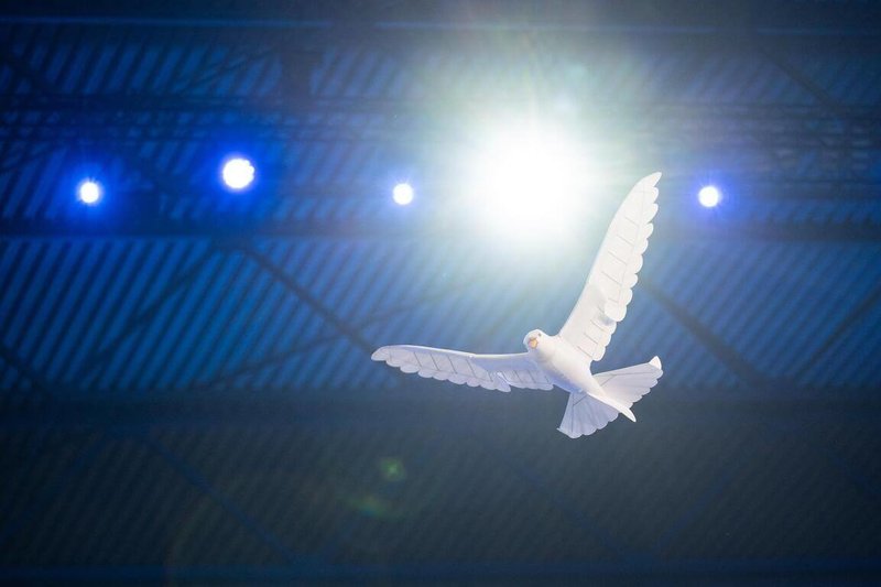 www-WebPhotos-800-20250717-1152x768_wmkn_0_C20250717000001