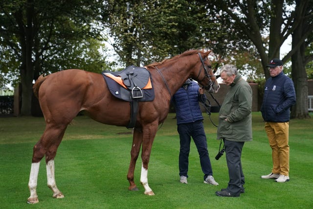 v2-image-production-7f9cf6851ef1dc9baab6b4ed5df83cd9Y29udGVudHNlYXJjaGFwaSwxNzU5NjY2OTM0-2.81872990