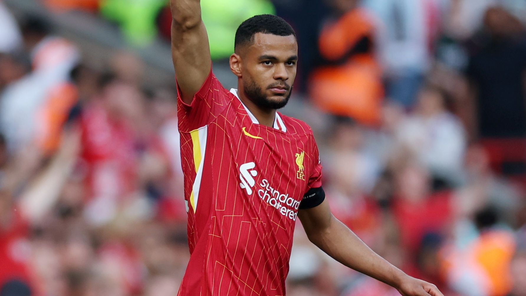 images-v3-getty-2214537170-crop-MM5DCNZYGQ5DCMBQGQ5G433XMU5DCMJUG45DMMBW-GettyImages-2214537170