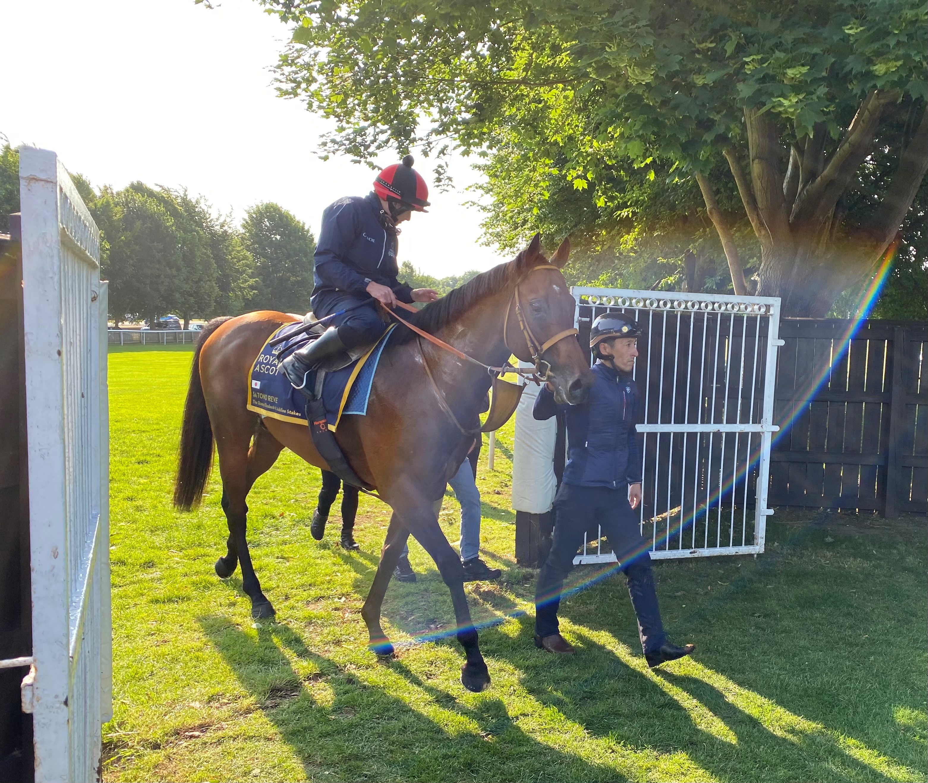 2025-06-12104952-6ceecd0a-d09b-4784-9125-38b3aeaf2752