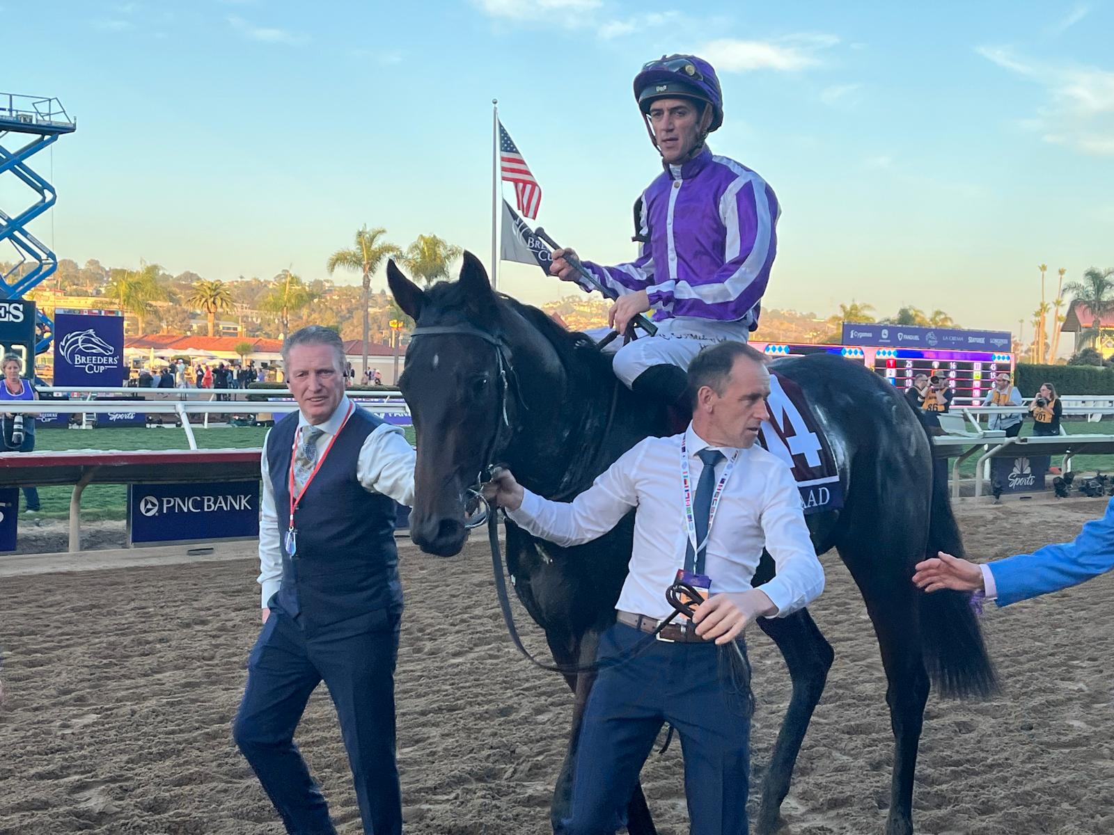 2025-11-01005708-89c09edf-ffb0-4b83-9ad3-0ad660fac960