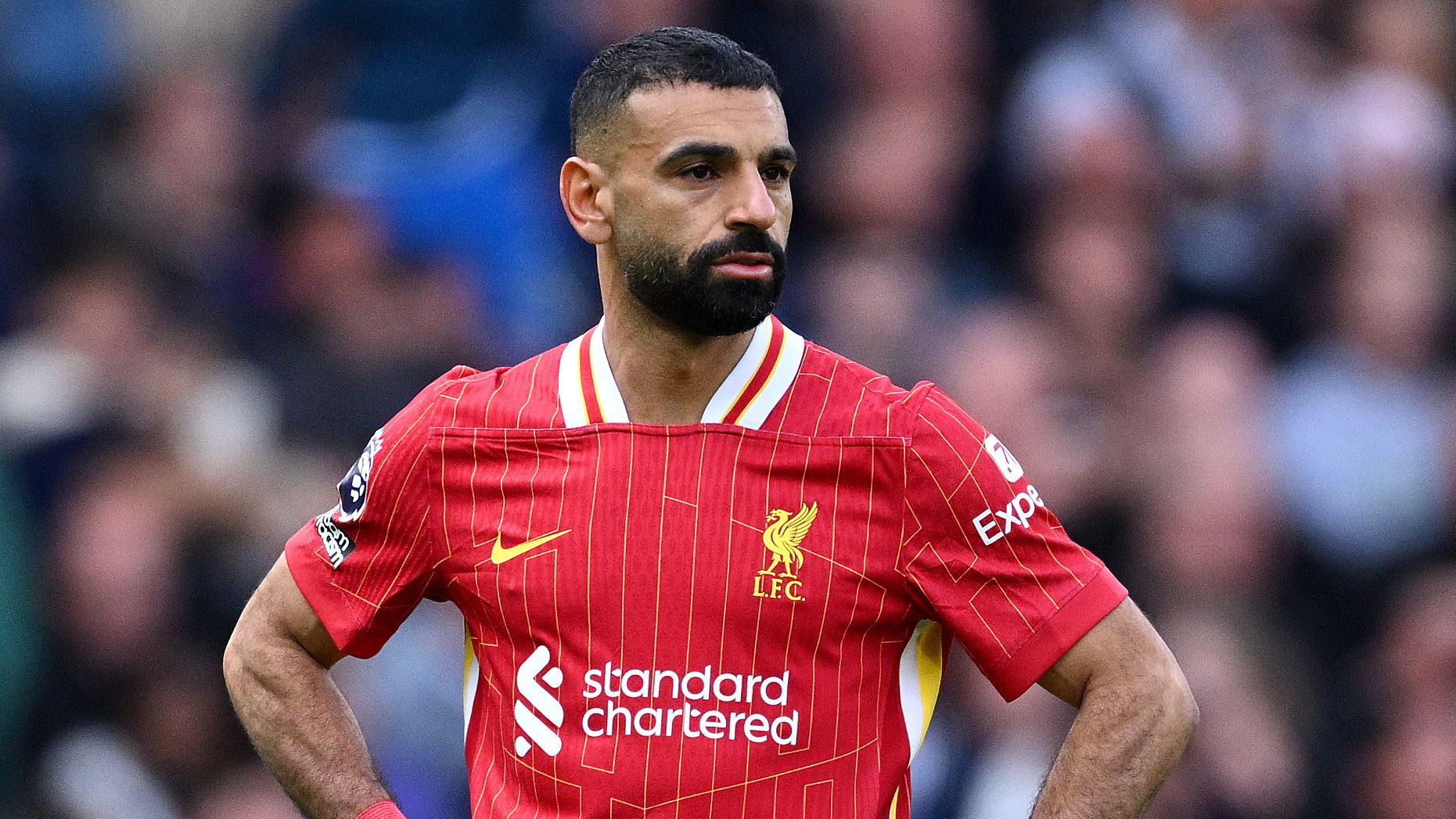 images-v3-getty-2213374627-crop-MM5DCOBWGE5DCMBUG45G433XMU5DEMBTHIZDKMA=-GettyImages-2213374627