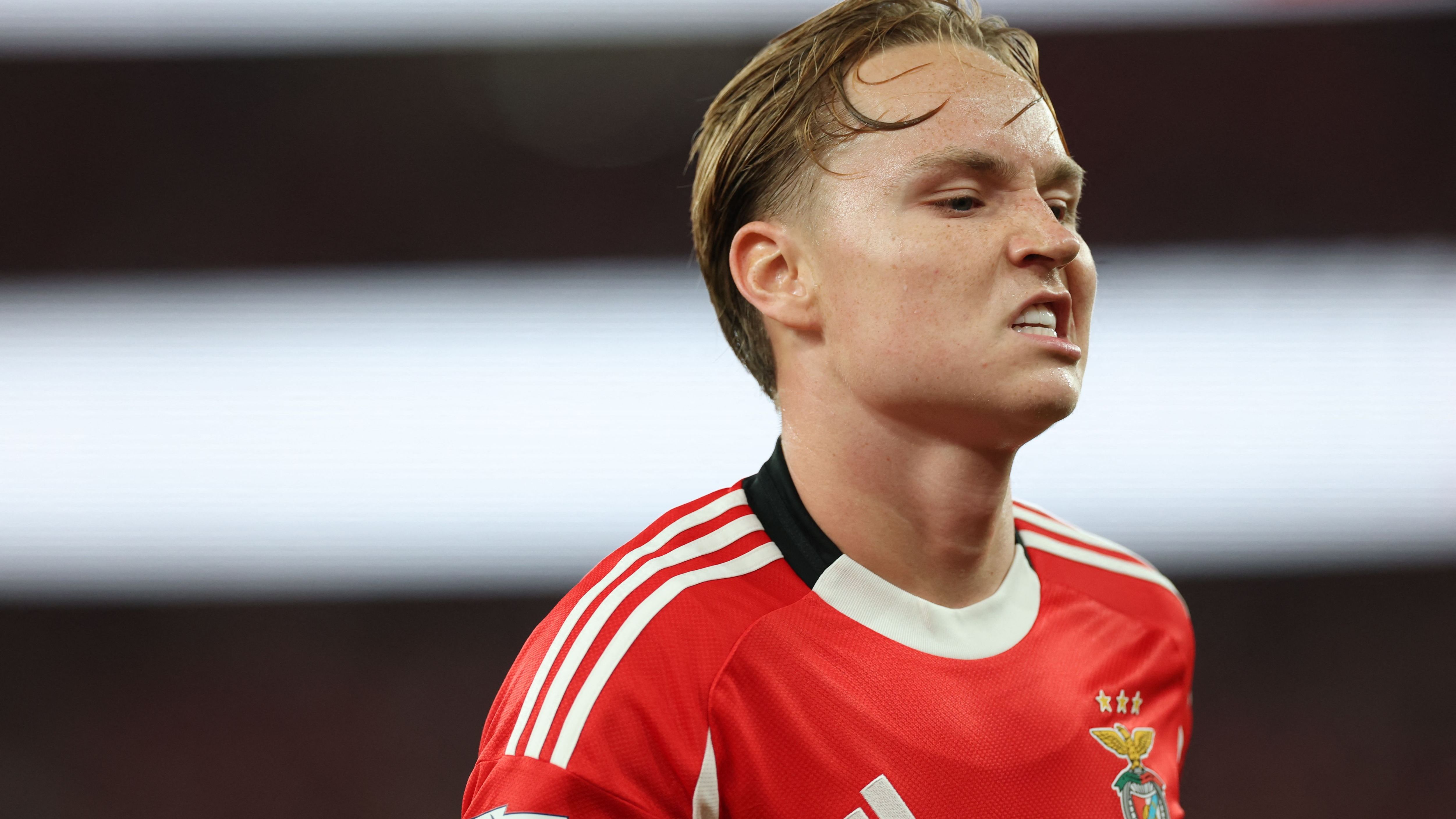 images-v3-getty-2230866355-crop-MM5DKMBQGQ5DEOBRGU5G433XMU5DAORSGYYQ====-GettyImages-2230866355