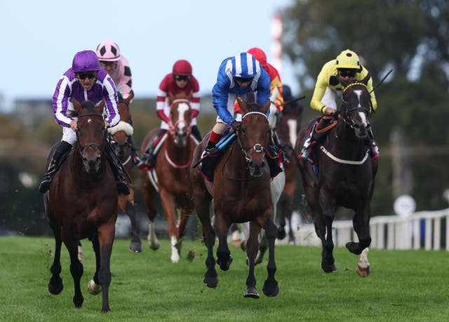 v2-image-production-2d5f01d52c4af701a0cb4ebab659e859Y29udGVudHNlYXJjaGFwaSwxNzU3OTQ2NzEz-2.81596692