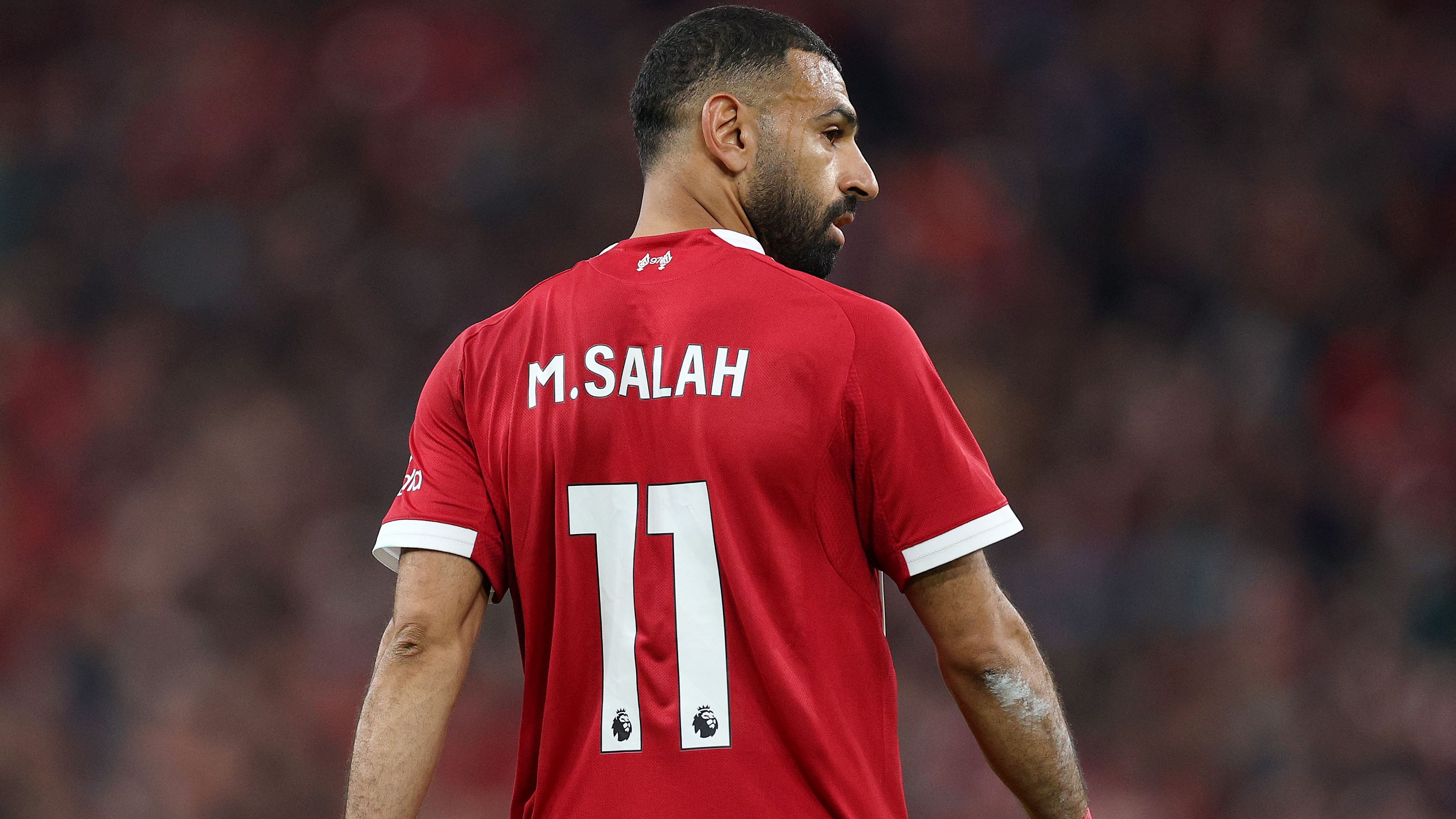 images-v3-getty-2242027803-crop-MM5DGMRZGY5DCOBVGQ5G433XMU5DIMRWHIYTGOA=-GettyImages-2242027803