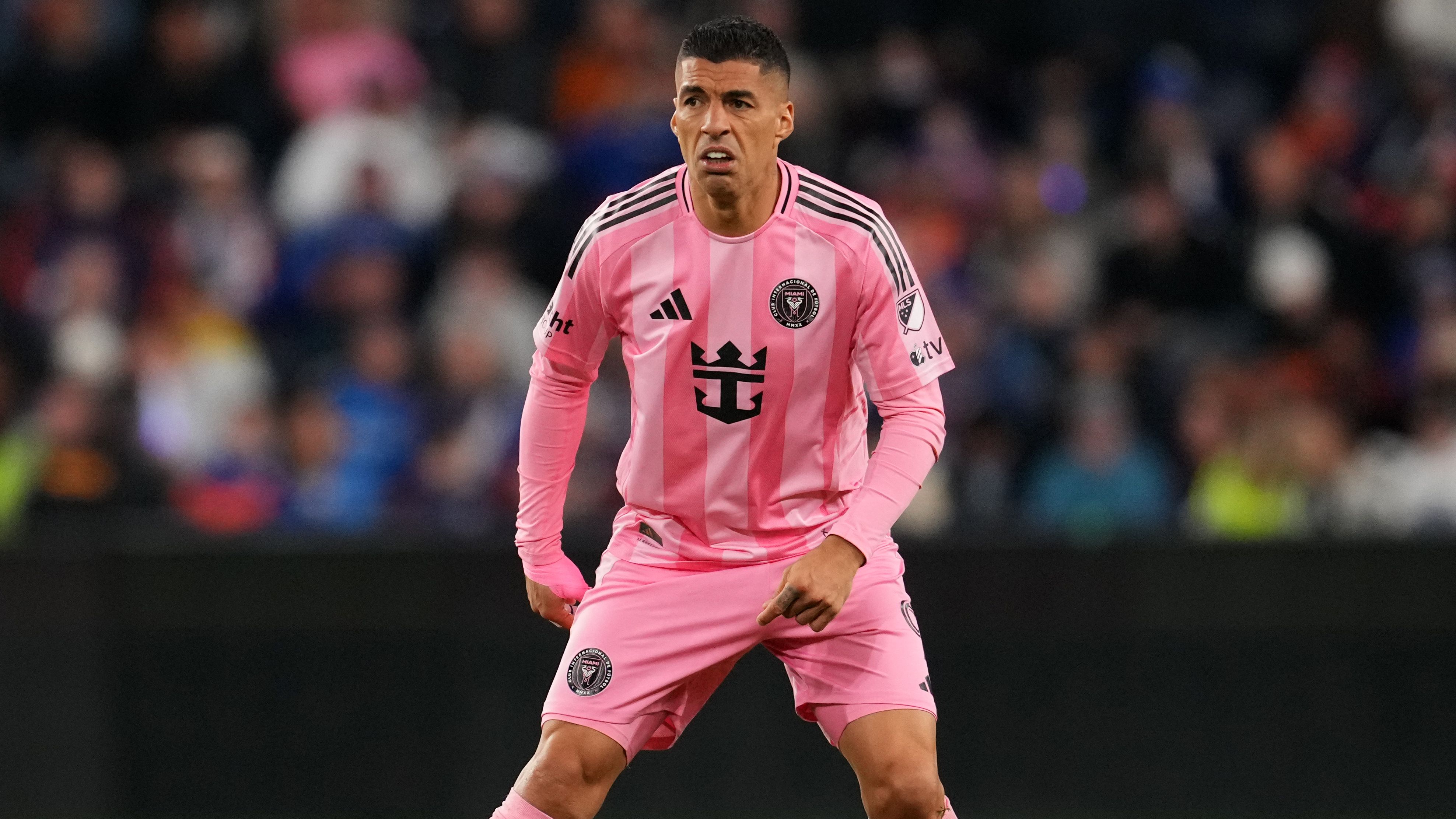 images-v3-blt4217898adfc463e0-crop-MM5DGOJVGI5DEMRSGM5G433XMU5DMNJSHIYTKMQ=-GettyImages-2248127215