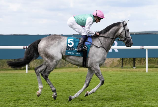 v2-image-production-000a802ddecbe80577f2c2a5a7a9d24eY29udGVudHNlYXJjaGFwaSwxNzU0NDg1MzI4-2.81140332