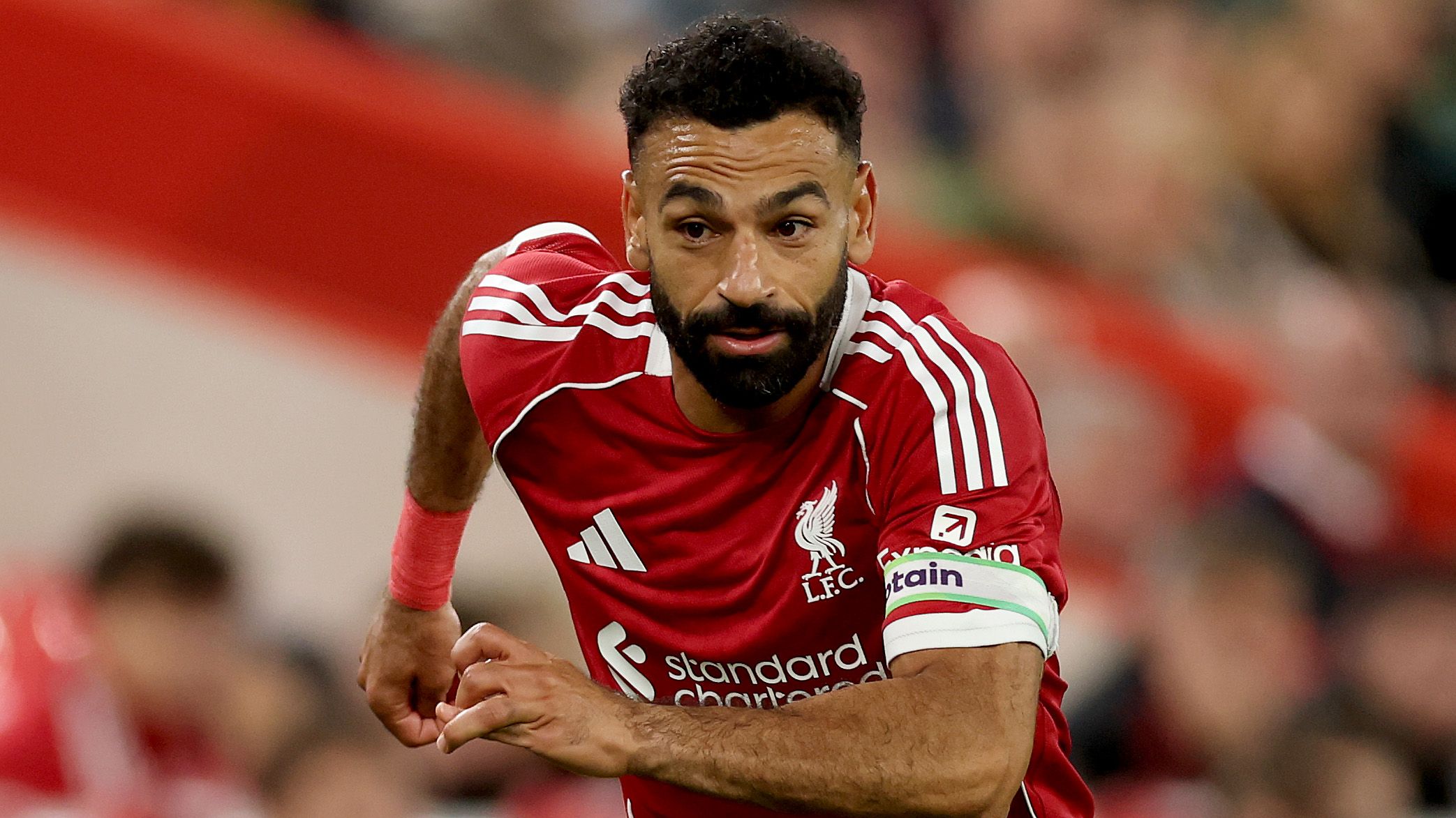 images-v3-getty-2228627758-crop-MM5DEMBYGY5DCMJXGM5G433XMU5DGOJSHI4DA===-GettyImages-2228627758