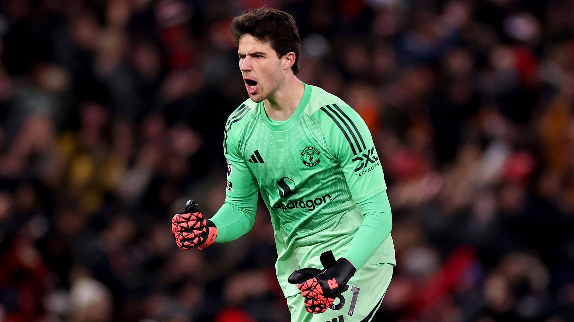 images-v3-blt8c9329ba0faf08a5-Senne-Lammens-news