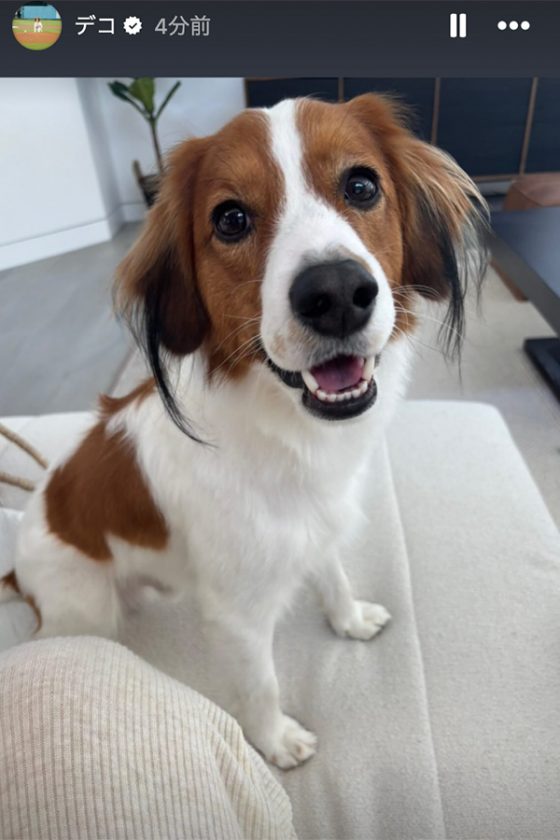 wp-content-uploads-2025-06-01121944-20250601_dekopin2_of-560x840