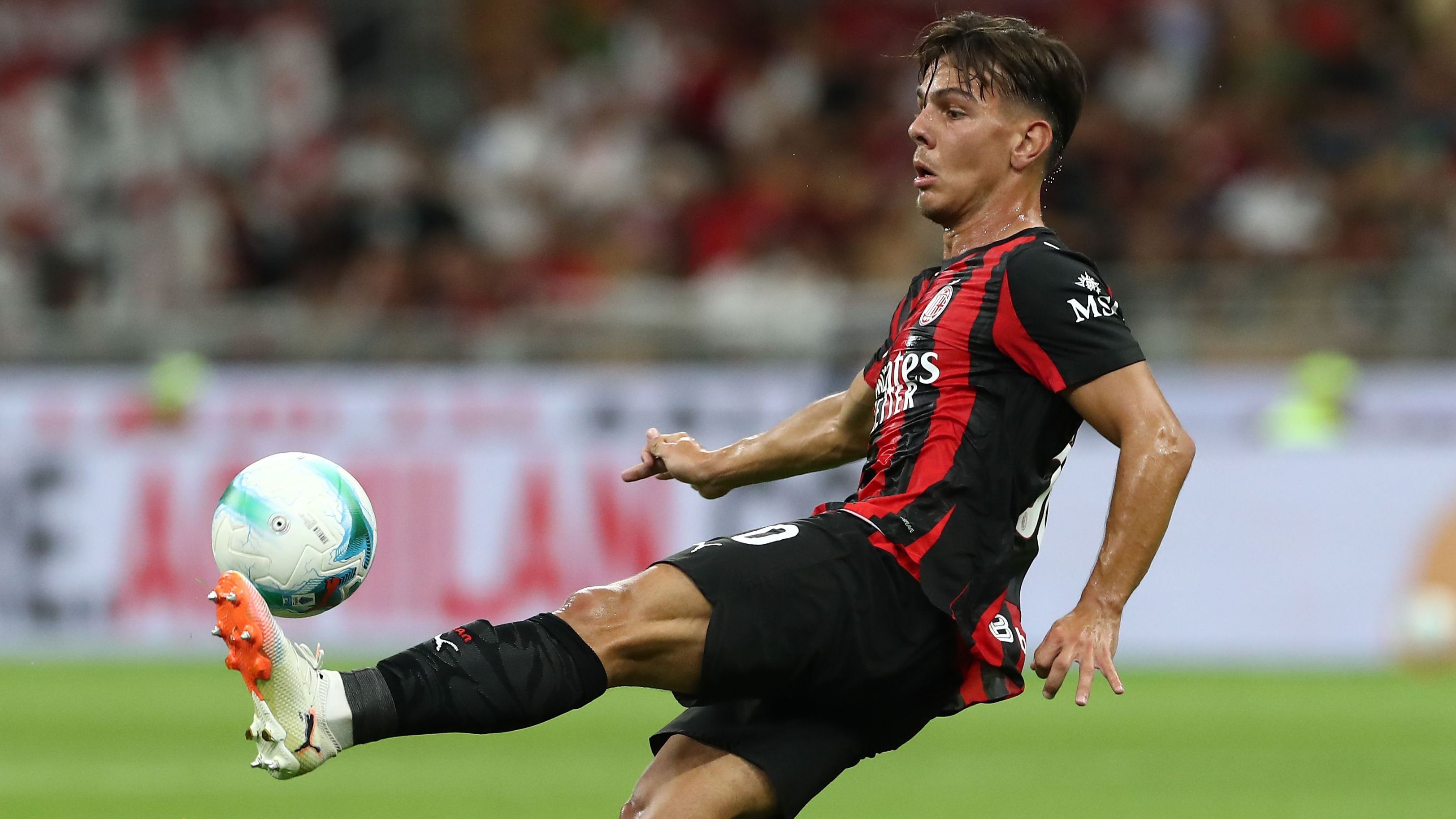 images-v3-getty-2230656161-crop-MM5DGMRUHA5DCOBSG45G433XMU5DGNJVHI4TE===-GettyImages-2230656161