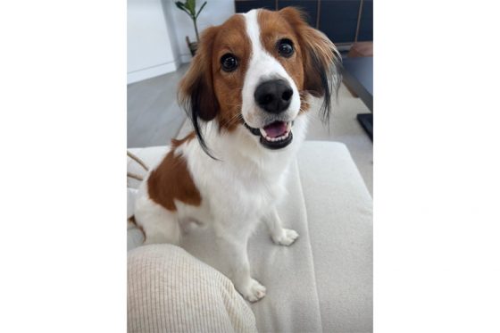 wp-content-uploads-2025-06-01121724-20250601_dekopin_of-560x373