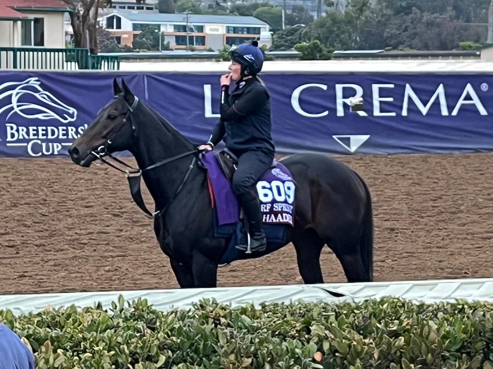 2025-10-27173312-53c3fb38-1717-4781-9501-be0e9034ab90