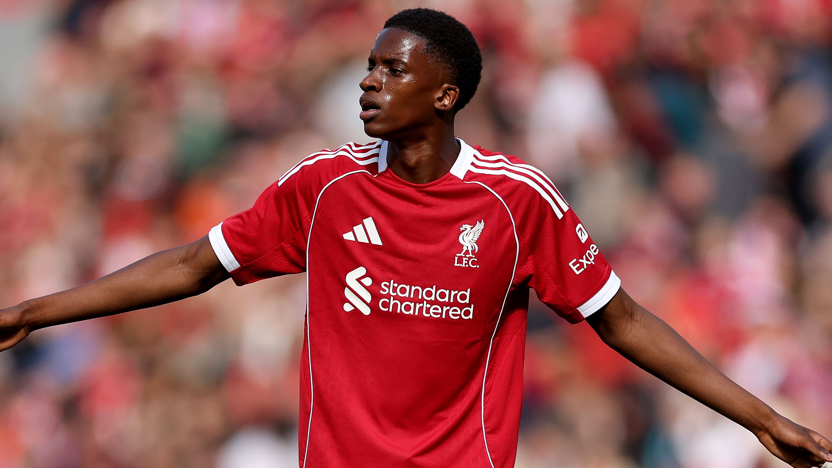 images-v3-getty-2228630164-crop-MM5DENZVG45DCNJVGE5G433XMU5DIMZTHIYTMMA=-GettyImages-2228630164