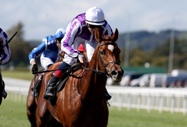 v2-image-production-145a07a31a878fa80368832b72924008Y29udGVudHNlYXJjaGFwaSwxNzU4MDQwNTQ3-2.81608246