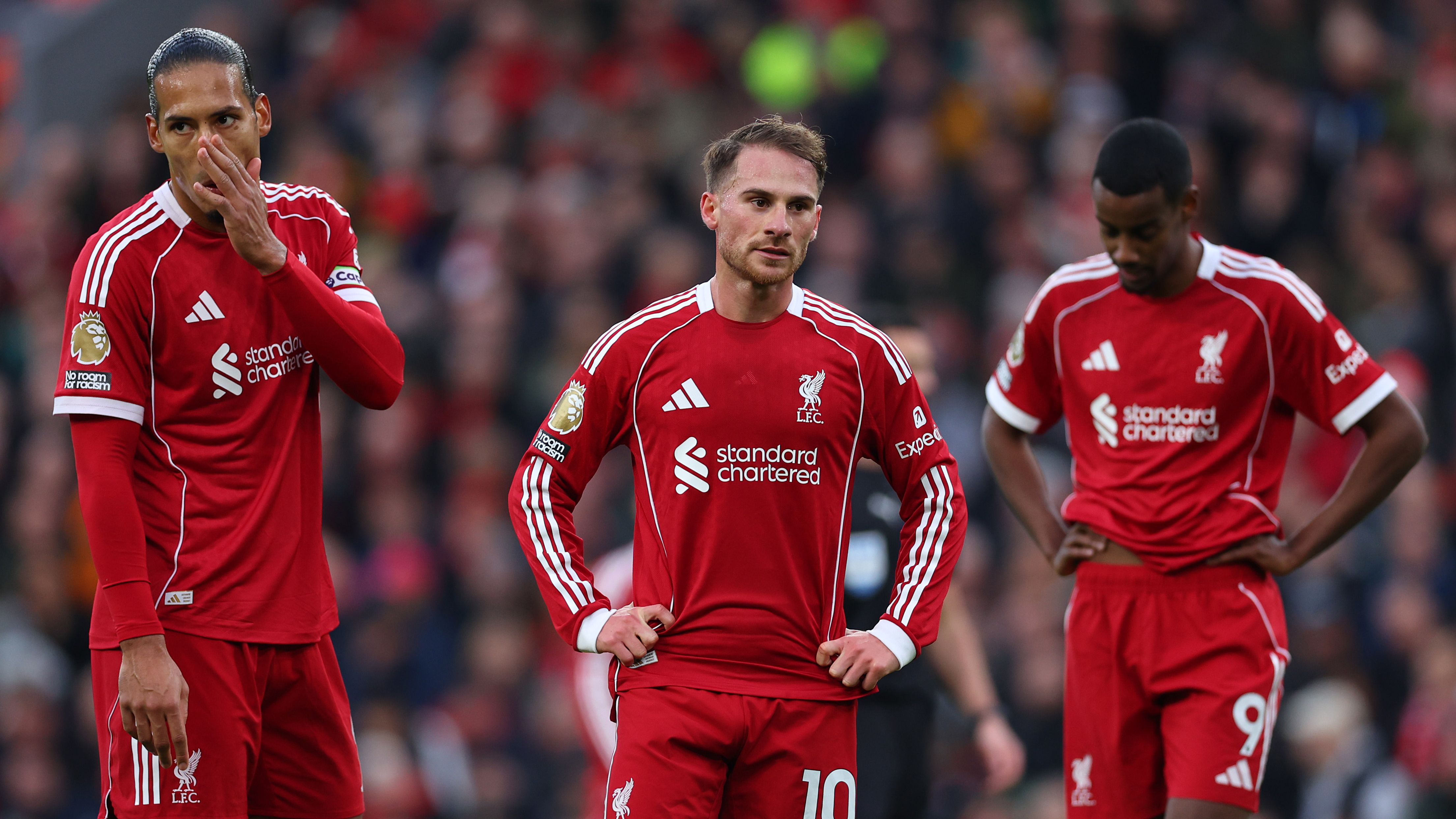 images-v3-getty-2248209301-crop-MM5DINBRHE5DENBYGY5G433XMU5DAORSHAYQ====-GettyImages-2248209301