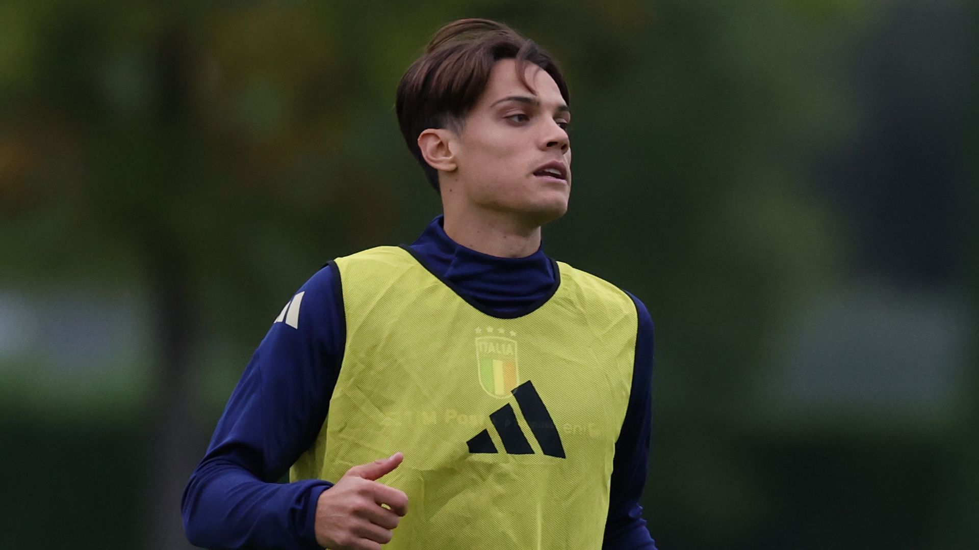 images-v3-blte526825c0dedd489-riucci