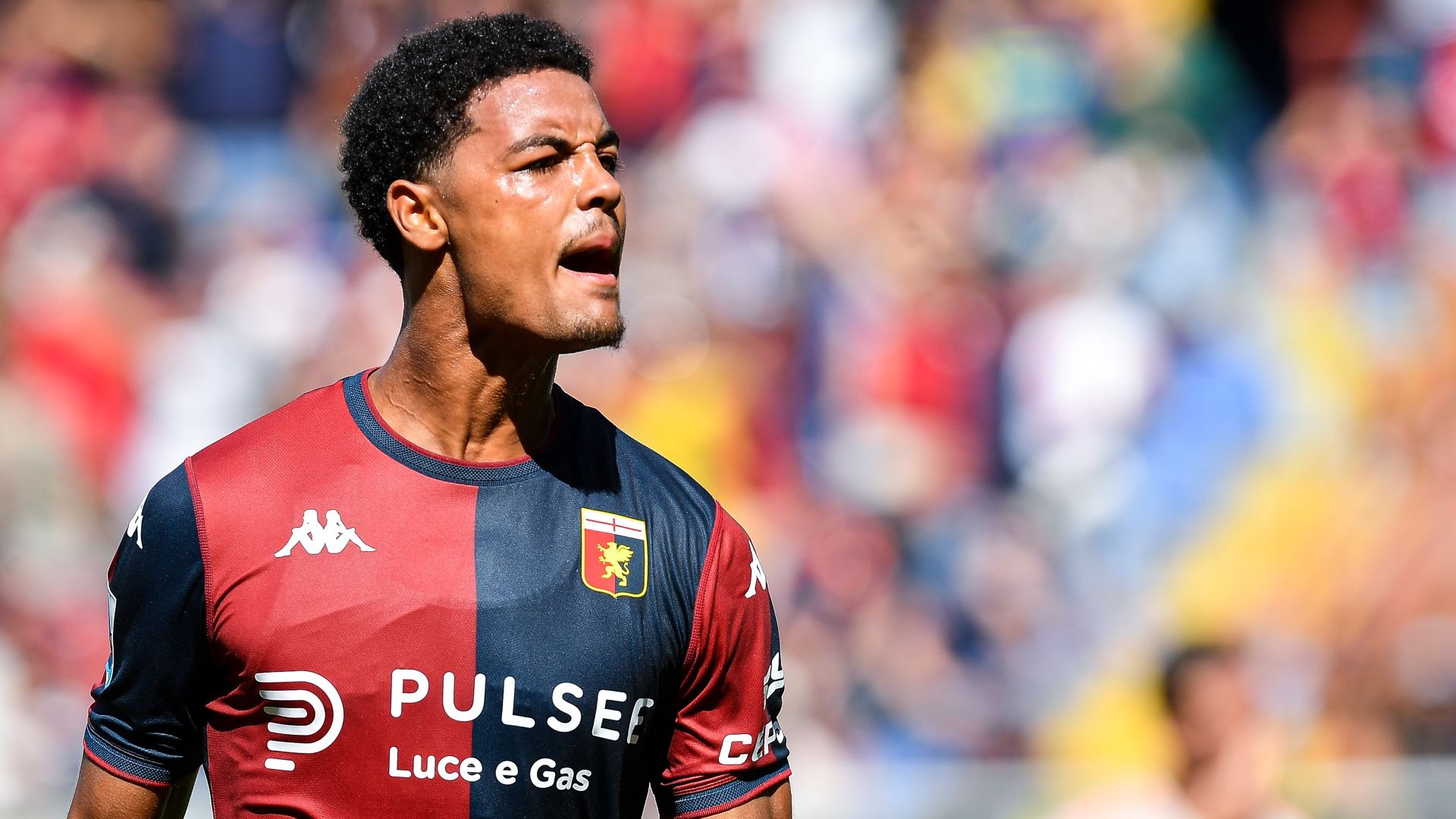 images-v3-bltfacc7065ae10c1ba-de%20winter%20genoa