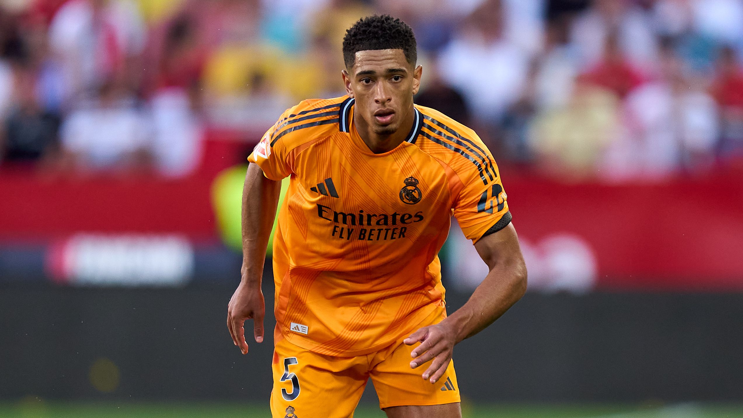 images-v3-getty-2215837440-crop-MM5DENJUGU5DCNBTGI5G433XMU5DKMBSHIZTG===-GettyImages-2215837440