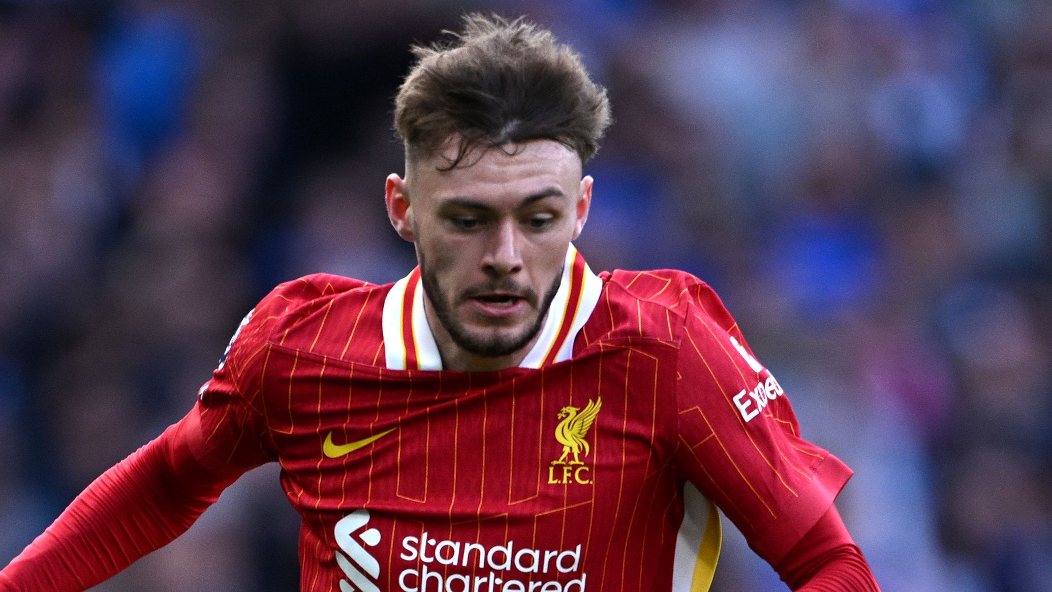 images-v3-getty-2213405396-crop-MM5DEMBXGA5DCMJWGU5G433XMU5DGOJWHIYTCMQ=-GettyImages-2213405396